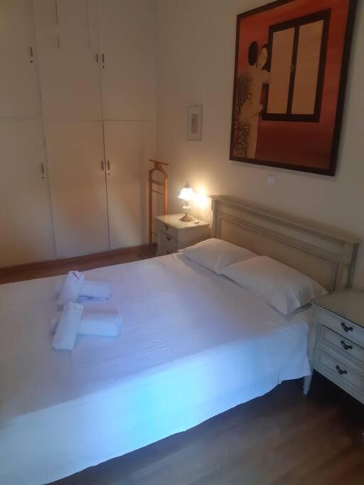 Classical Apartment At Lycabetus Hill Атина Екстериор снимка